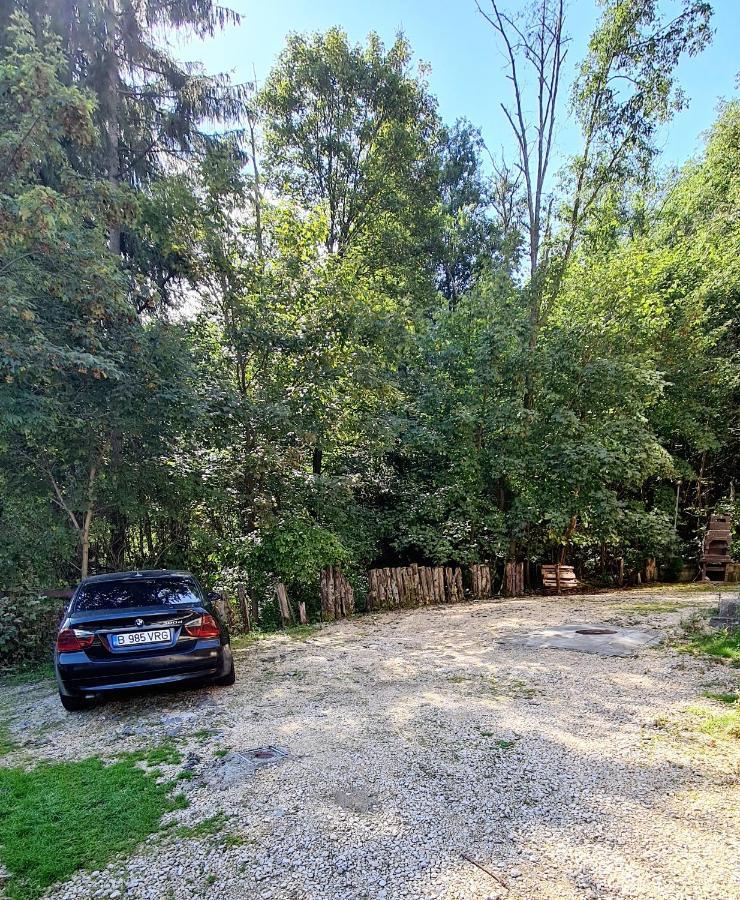 Apartmán Deja Vu Boutique Predeal Exteriér fotografie